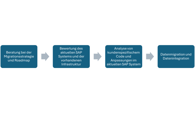 IPS_S4HANA_Services_Schritte