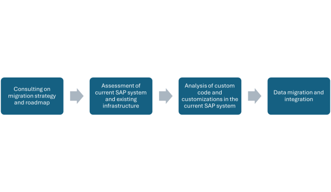 IPS_S4HANA_Services_Steps